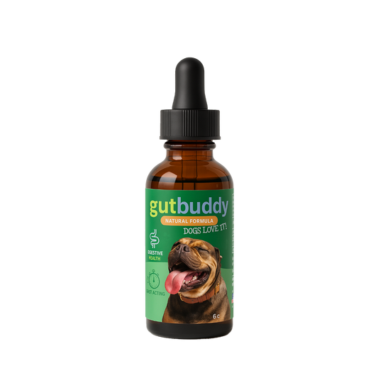 1x GutBuddy Advanced Probiotic for Dogs