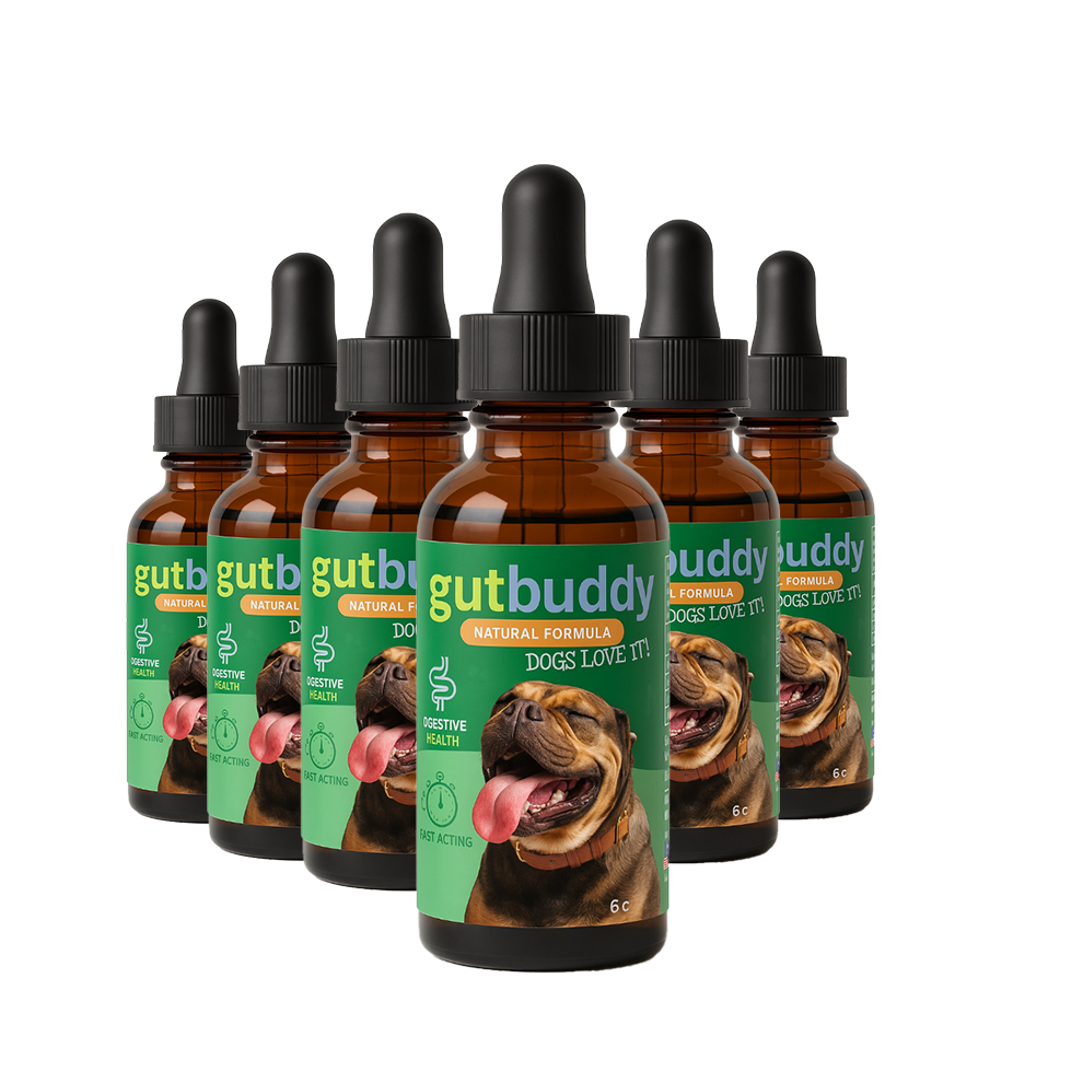 6x GutBuddy Advanced Probiotic for Dogs | Dog Probiotic for Gut & Immune Health