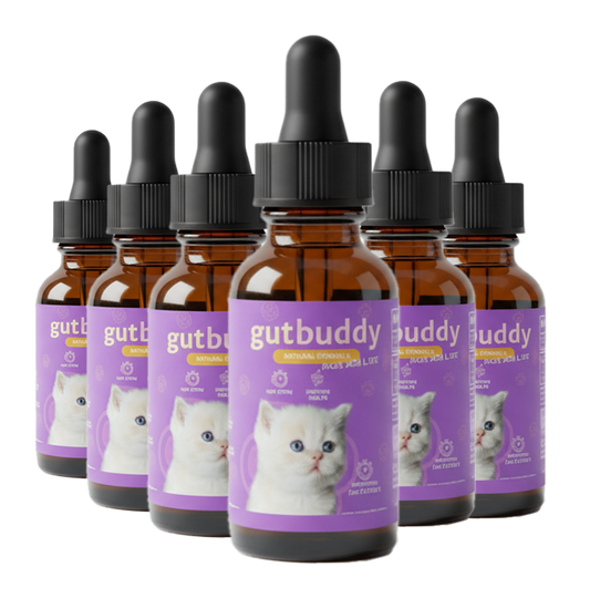 6x GutBuddy Advanced Probiotic for Cats