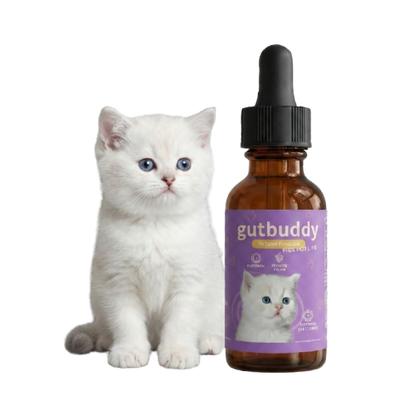 3x Gutbuddy Advanced Cat Probiotics