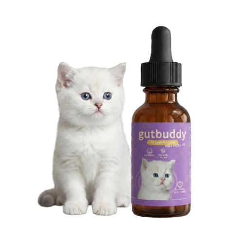 1x Gutbuddy Advanced Cat Probiotic