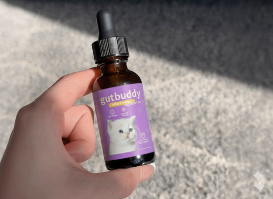 1x GutBuddy Advanced Probiotic for Cats
