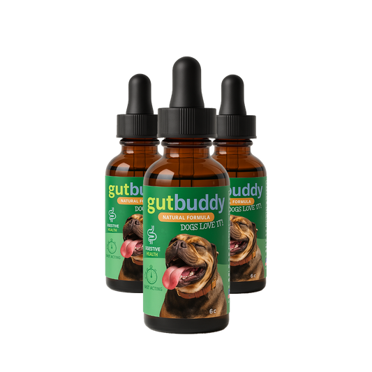 3x GutBuddy Advanced Probiotic for Dogs