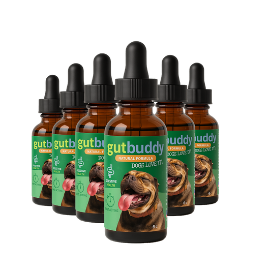 6x GutBuddy Advanced Probiotic for Dogs | Dog Probiotic for Gut & Immune Health