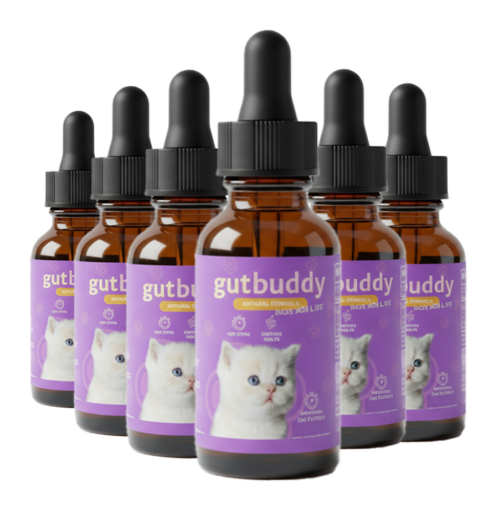 6x GutBuddy Advanced Probiotic for Cats