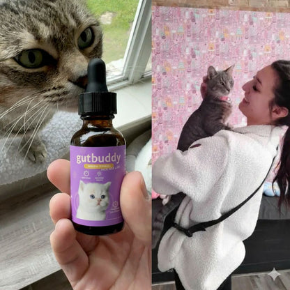 Gutbuddy™ Advanced Cat Probiotic